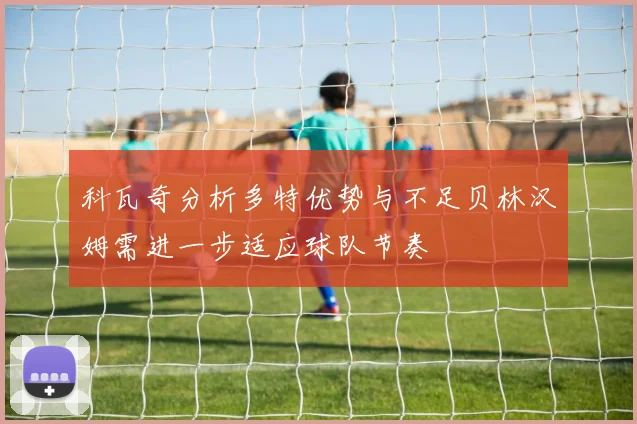 科瓦奇分析多特优势与不足贝林汉姆需进一步适应球队节奏